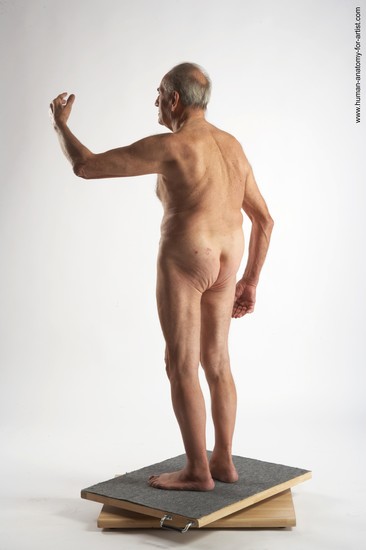 and more Nude Man White Standing poses - ALL Slim Bald Grey Standing poses - simple Realistic