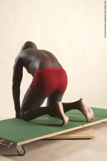 Underwear Man Black Kneeling poses - ALL Average Bald Kneeling poses - on both knees Academic