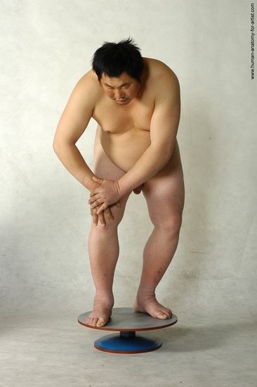 Nude Man Asian Standing poses - ALL Chubby Short Brown Standing poses - simple Realistic