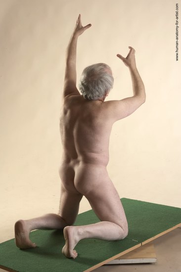 Nude Man White Kneeling poses - ALL Average Bald Grey Kneeling poses - on both knees Realistic