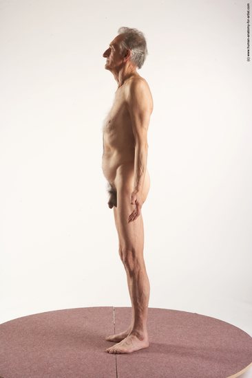 and more Nude Man White Standing poses - ALL Slim Bald Grey Standing poses - simple Realistic