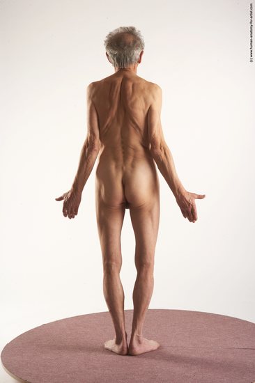 and more Nude Man White Standing poses - ALL Slim Bald Grey Standing poses - simple Realistic