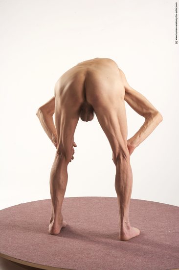 and more Nude Man White Standing poses - ALL Slim Bald Grey Standing poses - bend over Realistic