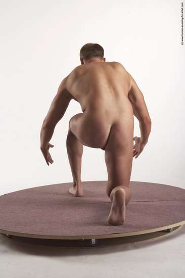 Nude Man White Kneeling poses - ALL Average Short Brown Kneeling poses - on one knee Realistic