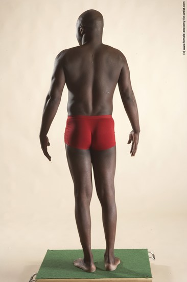 Underwear Man Black Standing poses - ALL Average Bald Standing poses - simple Academic