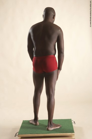 Underwear Man Black Standing poses - ALL Average Bald Standing poses - simple Academic