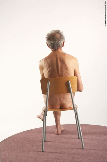 and more Nude Man White Sitting poses - simple Slim Bald Grey Sitting poses - ALL Realistic