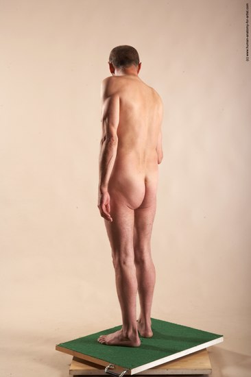 Nude Man White Standing poses - ALL Slim Bald Standing poses - simple Realistic