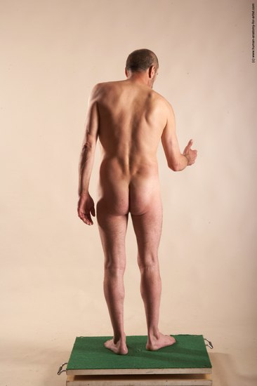 Nude Man White Standing poses - ALL Slim Bald Standing poses - simple Realistic