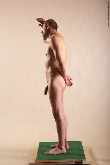 Nude Man White Standing poses - ALL Slim Bald Standing poses - simple Realistic