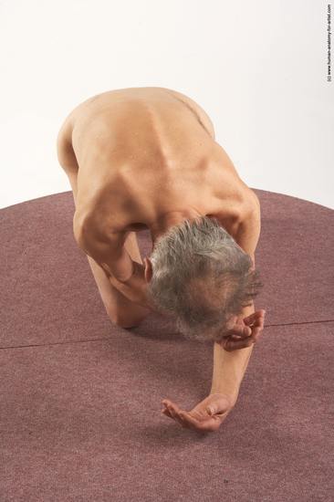 and more Nude Man White Kneeling poses - ALL Slim Bald Grey Kneeling poses - on both knees Realistic