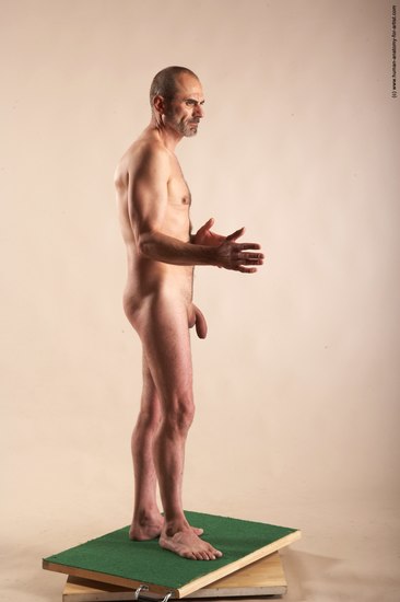 Nude Man White Standing poses - ALL Slim Bald Standing poses - simple Realistic