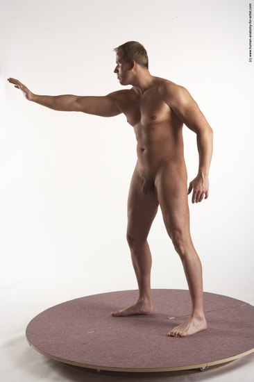 Nude Man White Standing poses - ALL Average Short Brown Standing poses - simple Realistic