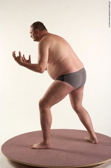 Underwear Man White Standing poses - ALL Chubby Short Brown Standing poses - simple Academic