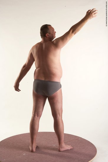 Underwear Man White Standing poses - ALL Chubby Short Brown Standing poses - simple Academic