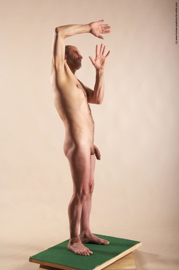 Nude Man White Standing poses - ALL Slim Bald Standing poses - simple Realistic