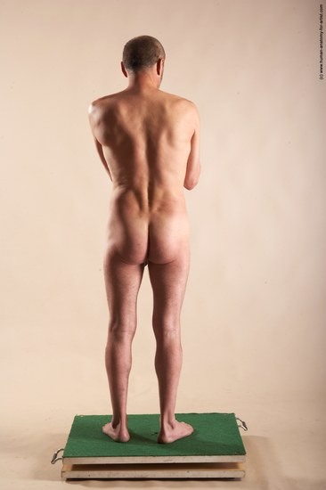 Nude Man White Standing poses - ALL Slim Bald Standing poses - simple Realistic