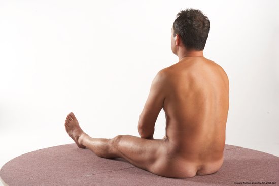 Nude Man White Sitting poses - simple Average Short Brown Sitting poses - ALL Realistic