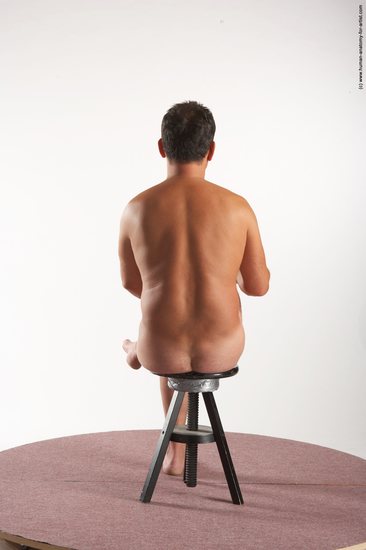 Nude Man White Sitting poses - simple Average Short Brown Sitting poses - ALL Realistic