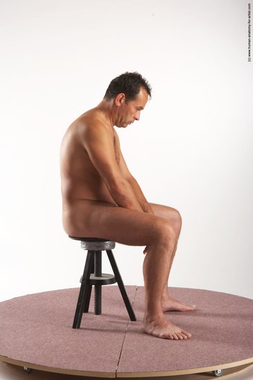 Nude Man White Sitting poses - simple Average Short Brown Sitting poses - ALL Realistic