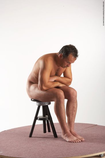 Nude Man White Sitting poses - simple Average Short Brown Sitting poses - ALL Realistic