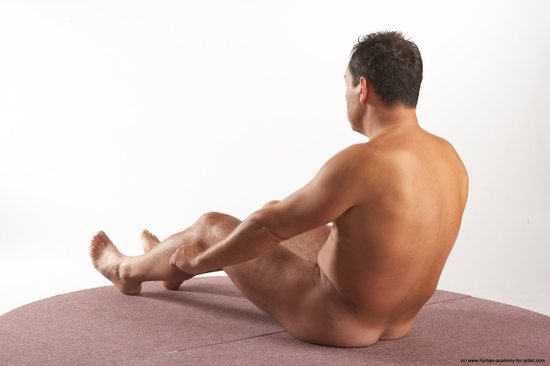 Nude Man White Sitting poses - simple Average Short Brown Sitting poses - ALL Realistic