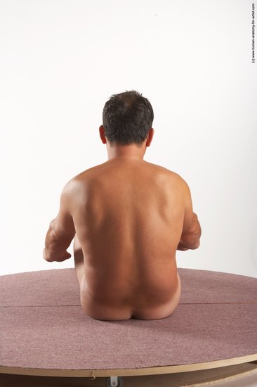 Nude Man White Sitting poses - simple Average Short Brown Sitting poses - ALL Realistic