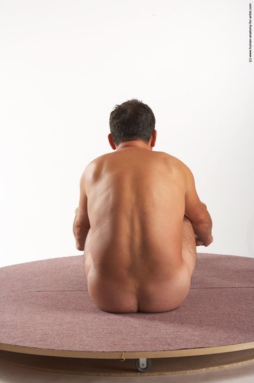 Nude Man White Sitting poses - simple Average Short Brown Sitting poses - ALL Realistic