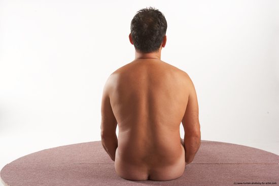 Nude Man White Sitting poses - simple Average Short Brown Sitting poses - ALL Realistic