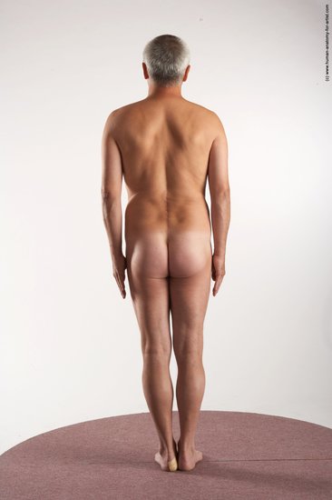 Nude Man White Standing poses - ALL Average Short Grey Standing poses - simple Realistic