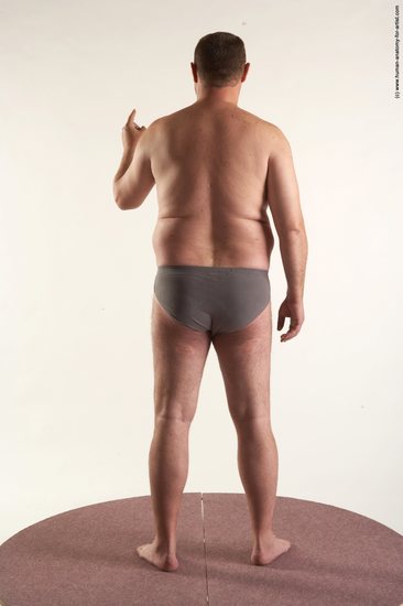 Underwear Man White Standing poses - ALL Chubby Short Brown Standing poses - simple Academic