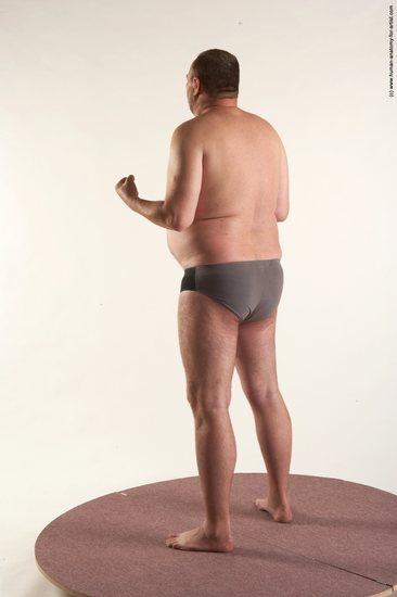 Underwear Man White Standing poses - ALL Chubby Short Brown Standing poses - simple Academic