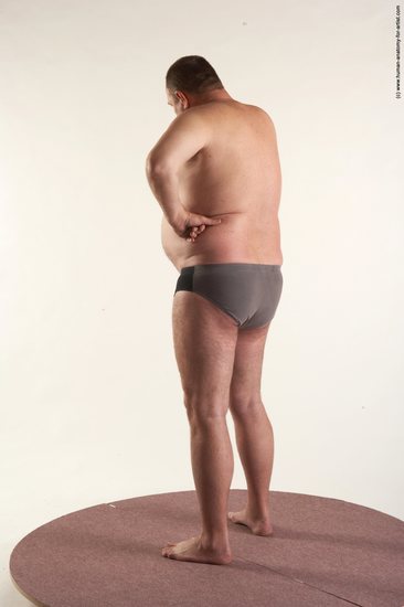 Underwear Man White Standing poses - ALL Chubby Short Brown Standing poses - simple Academic