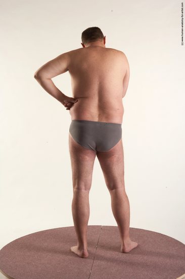 Underwear Man White Standing poses - ALL Chubby Short Brown Standing poses - simple Academic