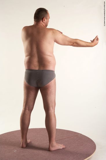 Underwear Man White Standing poses - ALL Chubby Short Brown Standing poses - simple Academic