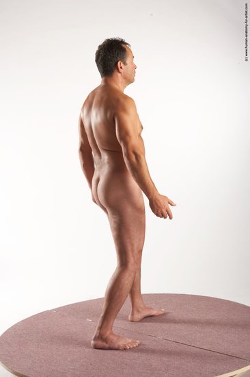 Nude Man White Standing poses - ALL Average Short Brown Standing poses - simple Realistic