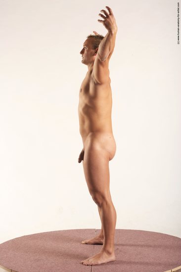 Nude Man White Standing poses - ALL Muscular Short Blond Standing poses - simple Realistic