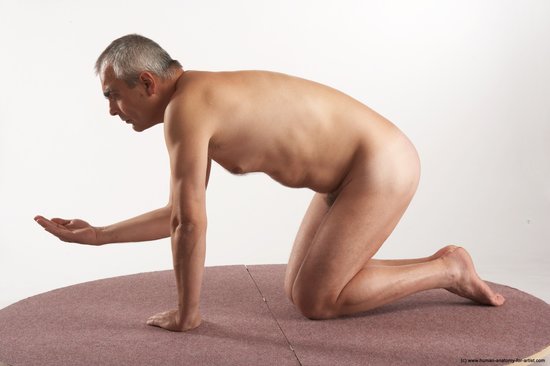 Nude Man White Kneeling poses - ALL Average Short Grey Kneeling poses - on both knees Realistic