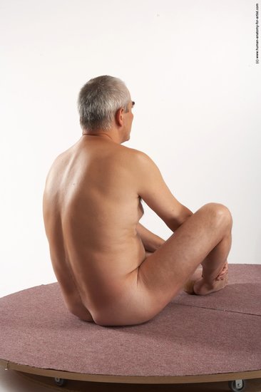 Nude Man White Sitting poses - simple Average Short Grey Sitting poses - ALL Realistic