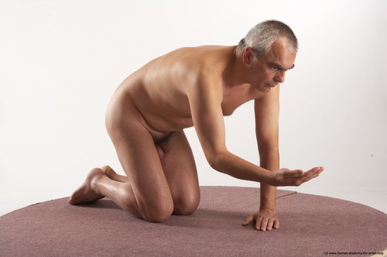 Nude Man White Kneeling poses - ALL Average Short Grey Kneeling poses - on both knees Realistic