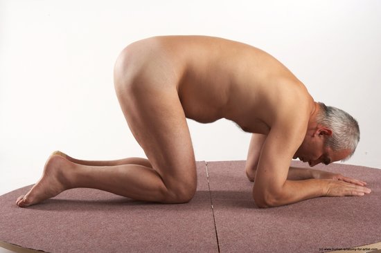 Nude Man White Kneeling poses - ALL Average Short Grey Kneeling poses - on both knees Realistic