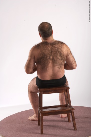 Underwear Man White Sitting poses - simple Chubby Short Brown Sitting poses - ALL Academic