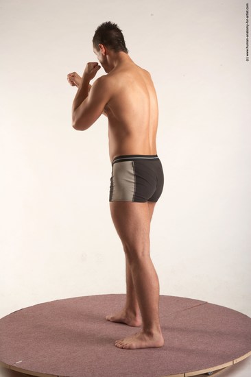 Underwear Martial art Man White Standing poses - ALL Average Short Brown Standing poses - simple Academic