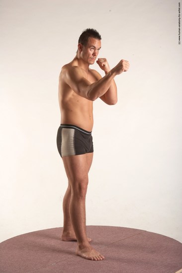 Underwear Martial art Man White Standing poses - ALL Average Short Brown Standing poses - simple Academic