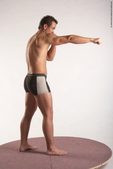 Underwear Martial art Man White Standing poses - ALL Average Short Brown Standing poses - simple Academic