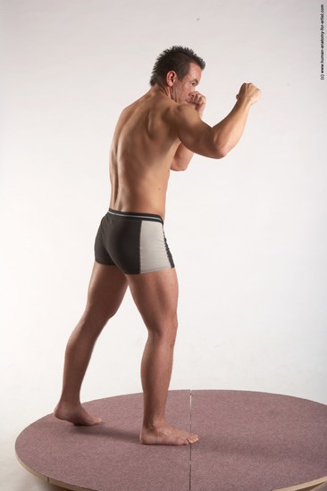 Underwear Martial art Man White Standing poses - ALL Average Short Brown Standing poses - simple Academic