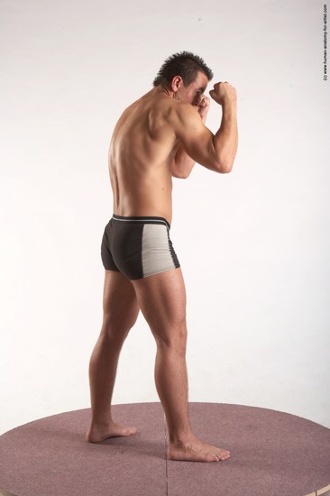 Underwear Martial art Man White Standing poses - ALL Average Short Brown Standing poses - simple Academic