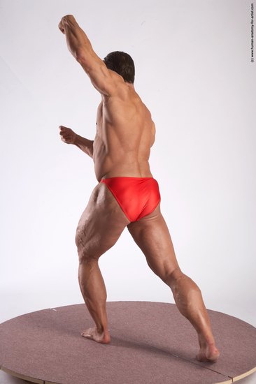 Swimsuit Man White Moving poses Muscular Short Brown Academic