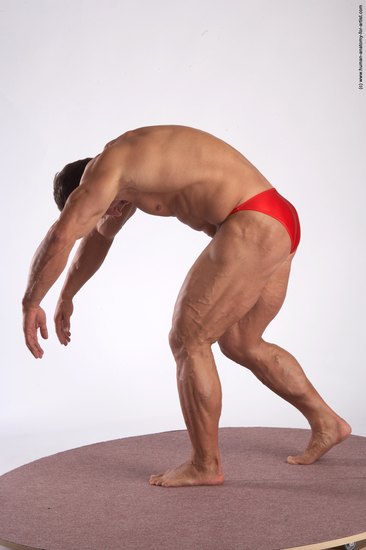 Swimsuit Man White Standing poses - ALL Muscular Short Brown Standing poses - bend over Academic