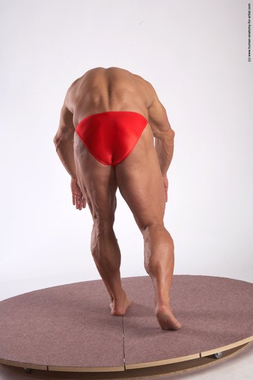 Swimsuit Man White Standing poses - ALL Muscular Short Brown Standing poses - bend over Academic